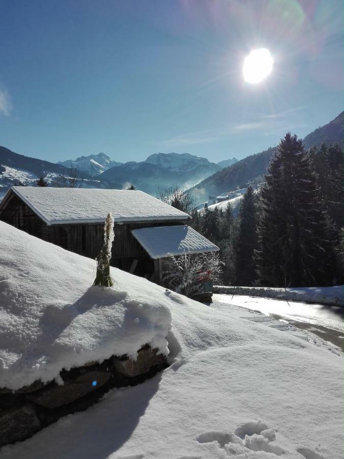 Apart Gerlossteinblick Aschau Im Zillertal 外观 照片