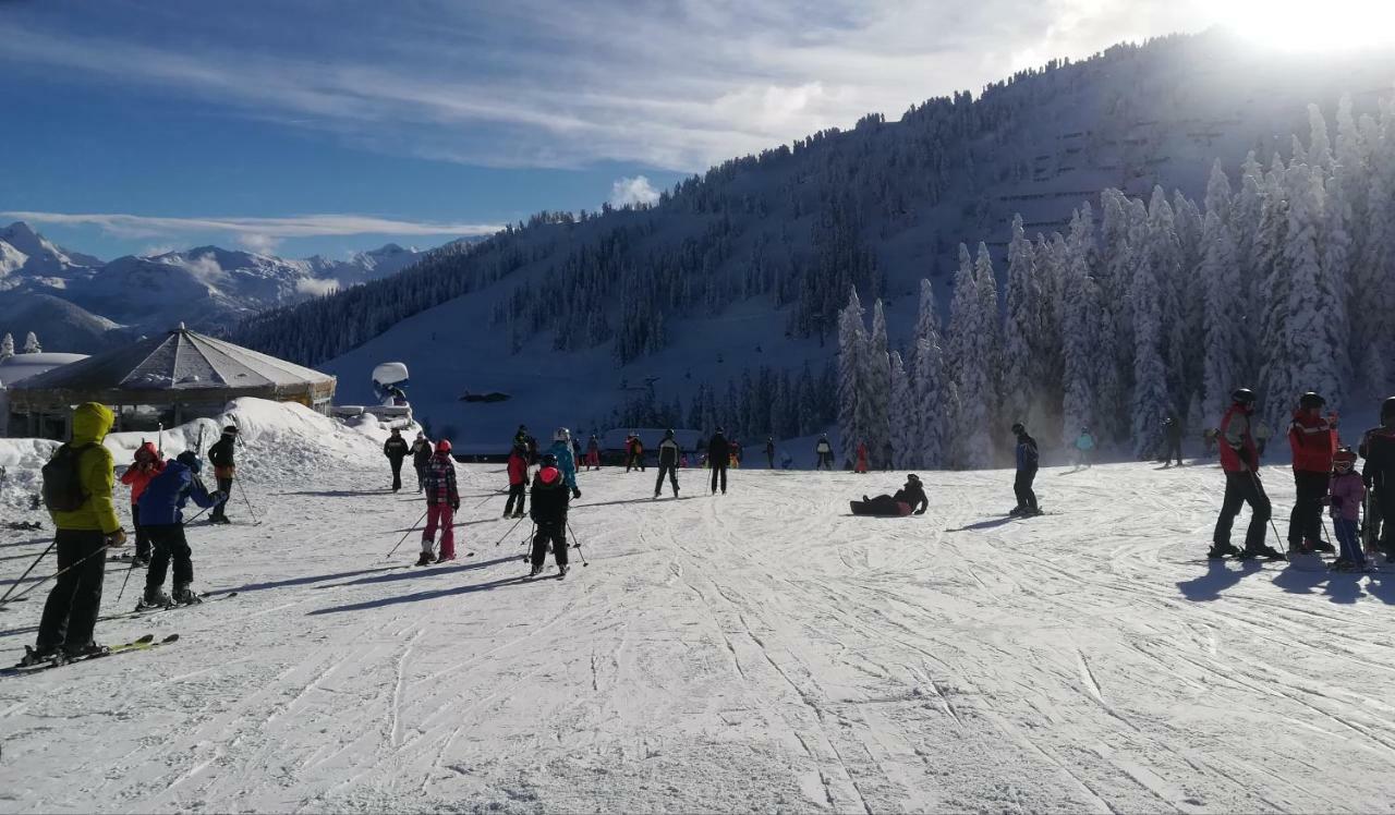 Apart Gerlossteinblick Aschau Im Zillertal 外观 照片