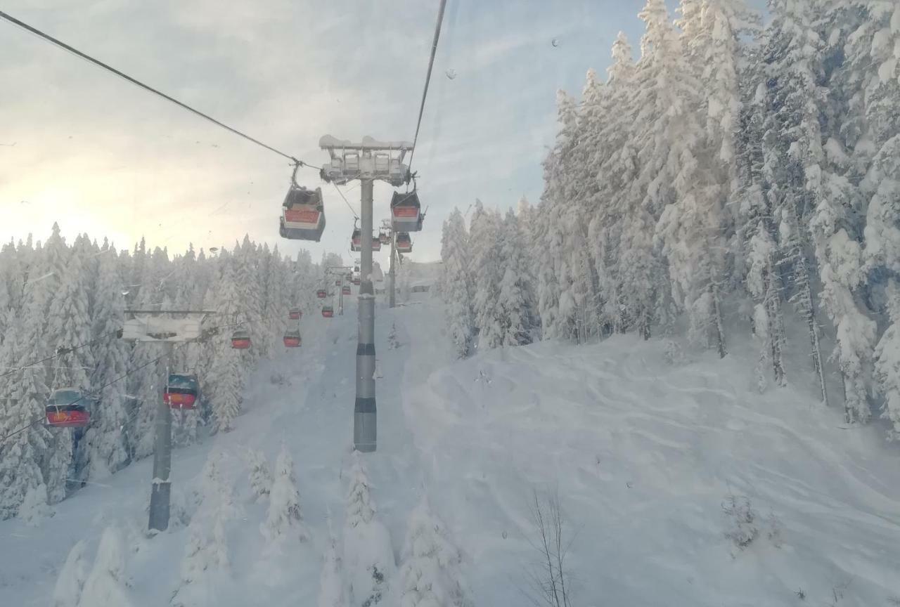 Apart Gerlossteinblick Aschau Im Zillertal 外观 照片