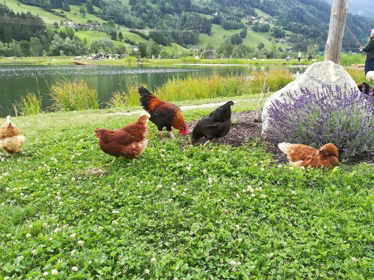 Apart Gerlossteinblick Aschau Im Zillertal 外观 照片